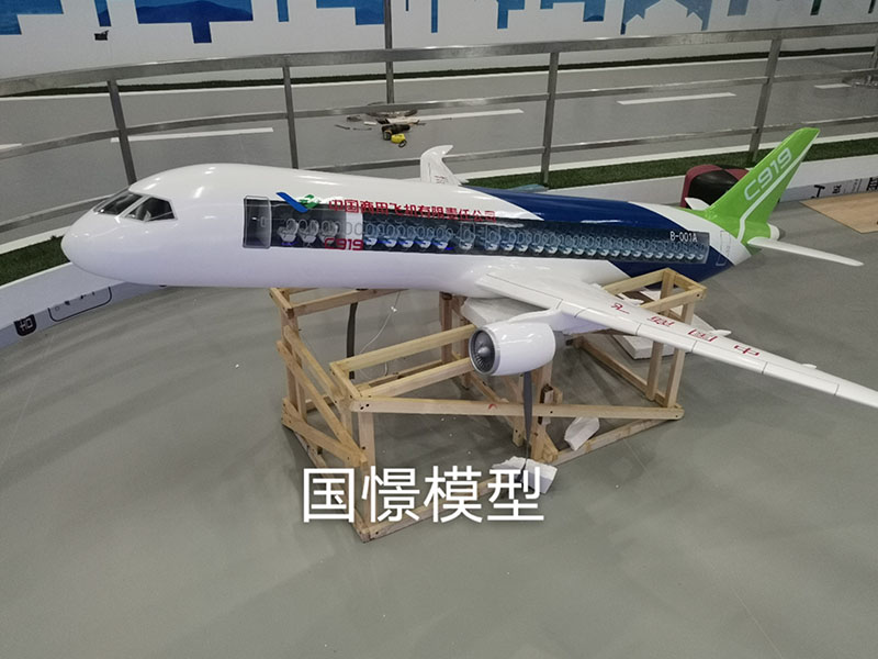 平利县飞机模型