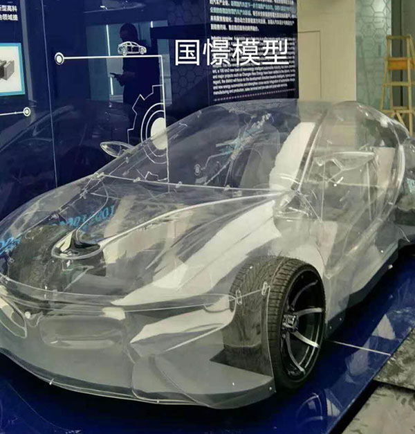 平利县透明车模型
